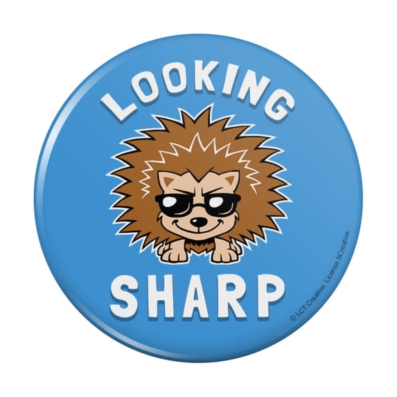 Looking Sharp Porcupine Funny Humor Pinback Button Pin
