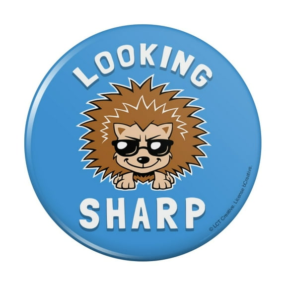Looking Sharp Porcupine Funny Humor Pinback Button Pin