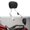 Chrome, variant on TCMT Detachable Sissy Bar Backrest Fits for Harley Touring 2009-2025 Road King Street Electra Road Glide, Black