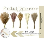 110 Pcs Natural Dried Pampas Grass Bouquet, Bunny Tails Dried Flower, Long-Lasting Dried Flowers Bouquet for Home Wedding Decor, 17 (Without Vase)