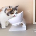 thumbnail image 4 of Cuencos de comida para gatos, cuenco de comida para gatos con soporte elevado, cuenco de comida antideslizante inclinado a 15°, extraíble, antideslizante y a prueba de salpicaduras, para gatos y, 4 of 7