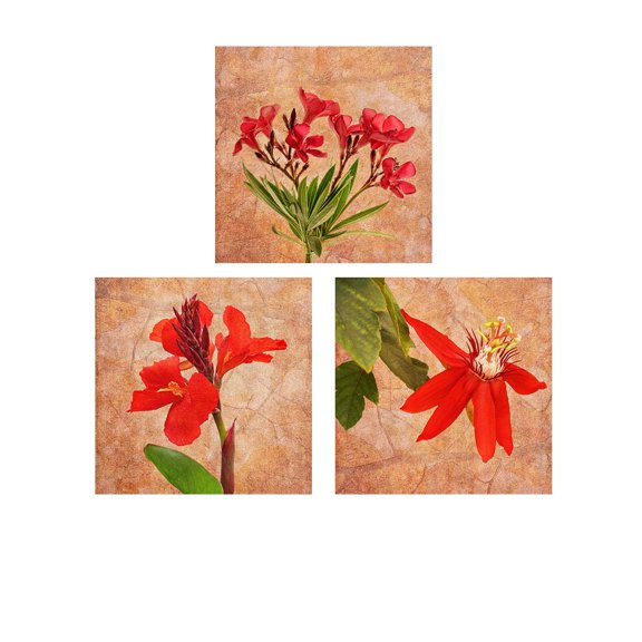 Great Art Now Fantasy in Red by Leda Robertson 3 Piece Print Art Set Each 12W x 12H