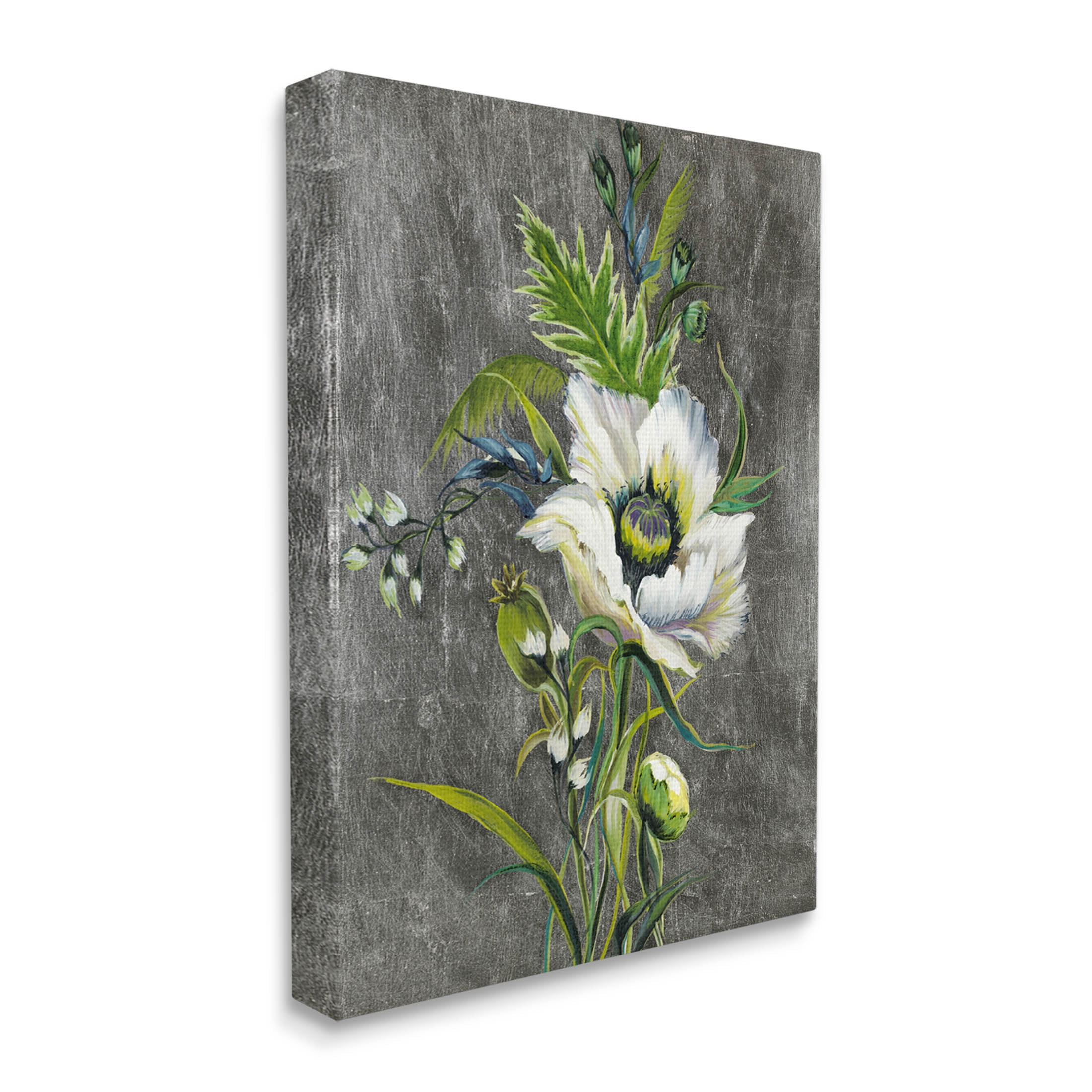 Stupell Industries Detailed Flower Buds Bloom Graphic Art Gallery Wrapped Canvas Print Wall Art, Design by Liz Jardine
