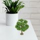 thumbnail image 4 of ELAYARD Árbol Para Micro Paisaje En Verde Con DIY Ideal Para Y Proyectos Creativos, 4 of 6