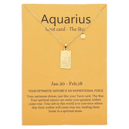 SWNXMG 14k Gold Plated Aquarius Necklace Star Tarot Card Constellation Jewelry Birthday Gift for Women