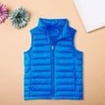 thumbnail image 2 of Ruyang Boys Girls Puffer Vest Kids Sleeveless Down Jackets Lightweight Water-proof Zip Up Mock Neck Warm Quilted Gilet, 2 of 7