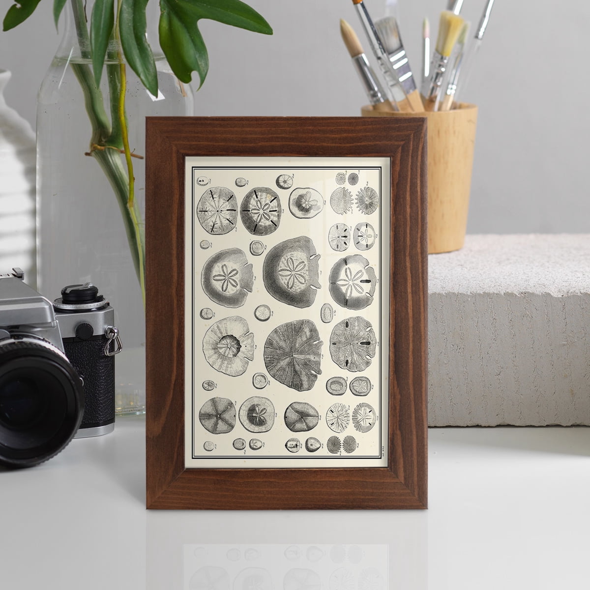 Aegean Collection II -Framed Print w/glass-Chestnut