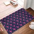 thumbnail image 5 of Balery Cute Flamingo Doormat, Durable Flannel Fabric, Waterproof Stain and Fade Resistant, Low Profile,Indoor Outdoor Door Mats, Easy Clean Patio Entrance Mat, 16x24in, 5 of 9