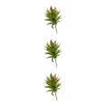 thumbnail image 2 of Plantas artificiales realistas Billuyoard suculentas MM215 Verde ABS, 2 of 6