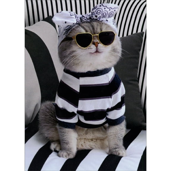 Avanti Press Cat Wearing Bandana, Shades and Striped Sweater on Striped Couch Funny / Humorous Feminine Birthday Card for Her / Woman