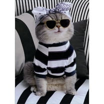 Avanti Press Cat Wearing Bandana, Shades and Striped Sweater on Striped Couch Funny / Humorous Feminine Birthday Card for Her / Woman