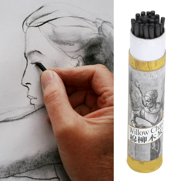 25pcs Charcoal Pencils, Drawing Charcoal Sticks Bar Artist Art Drawing Tools Sketch Pencil for Artists Beginners Students
