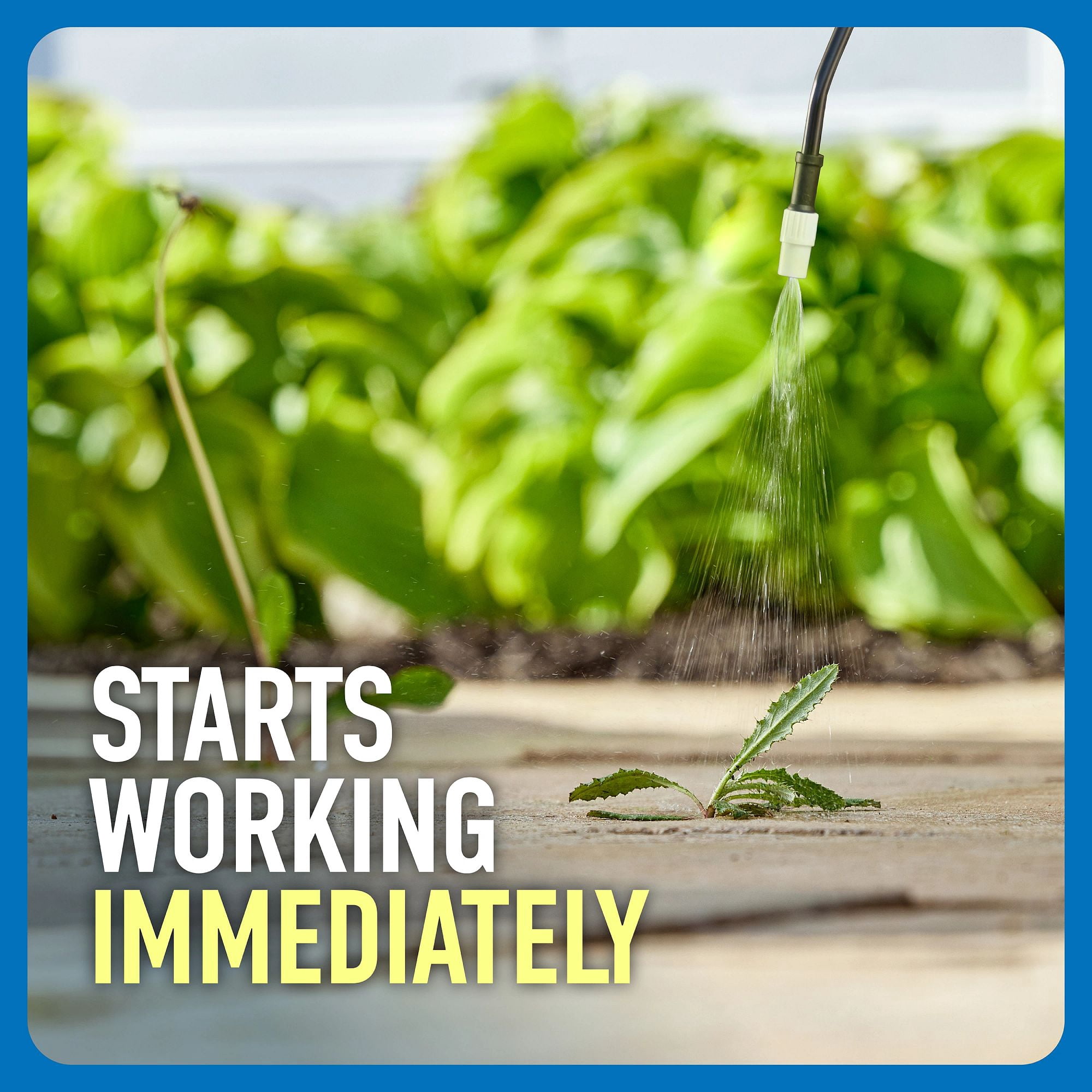Roundup Weed & Grass Killer₄ with Pump 'N Go 2 Sprayer, 1.33 gal.