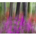 thumbnail image 2 of Rotenberg, Nancy 29x26 Gold Ornate Wood Framed with Double Matting Museum Art Print Titled - Colorful blurred garden abstract, Georgia, 2 of 4