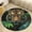 Flannel-1, variant on Tiger in Jungle Leaves Round Area Rugs for Bedroom Living Room, 4FT Soft Comfy Indoor Circle Carpets, Floor Mat
