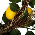 thumbnail image 2 of Vickerman 24" Artificial Green and Yellow Salal Leaf Lemon Wreath., 2 of 2