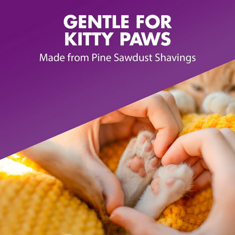 Feline pine clumping litter discontinued hotsell