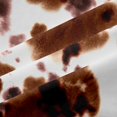 thumbnail image 4 of Manfei Farm Cow Spot Shower Curtain 72Wx72L,Rustic Farm Animal Bathroom Curtain,Brown Beige, 4 of 6