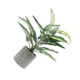 thumbnail image 2 of Billuyoard Plantas en macetas artificiales verdes con patrones claros Hoja trasera de tortuga Flores artificiales Decoración, 2 of 6