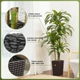 thumbnail image 5 of Artificial Dracaena Tree 6FT - UV Resistant Faux Tree with Large Taper Planter & Pebbles - Tall Fake Plants Indoor & Outdoor, Potted Floor Plant for Home Living Room Porch Decor, VN127, 5 of 18