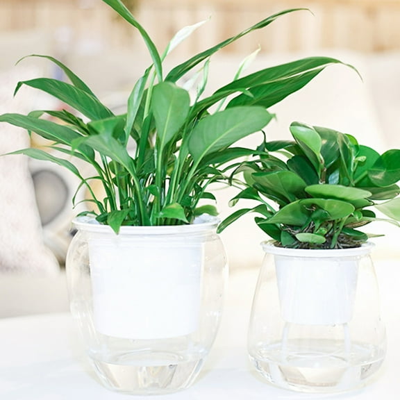 Limei 6.1" x 5.3" Garden Self Watering Plastic Plant Pot - 1 Pack, Transparent Time-Saving Functional Flowerpots - African Violets, Orchid, Flower Pot Container