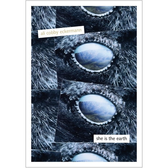 She Is the Earth (Paperback)
