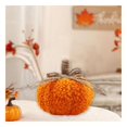 thumbnail image 4 of Way To Celebrate Sherpa Pumpkin Decoration, Diameter 3 inch, Orange colour, 4 of 4