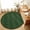 Green, variant on Entryway Rug 2'x3', Black Golden Floral Kitchen Runner Rugs Non-Slip Carpet Mats, Modern Abstract Art Spring Flowers Bedside Rugs Runners Washable Floor Carpet for Bathroom Laundry Room