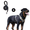 Khaki, variant on Levviye Dog Harness & Leash Set Reflective Adjustable Pet Vest with Foam Handle Durable Rope for Dogs Walking Training, Khaki L