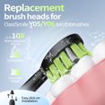 thumbnail image 3 of OasiSmile Replacement Toothbrush Heads, Compatible with Electric Toothbrush Y05 & Y06  Models, 3 of 4