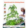 thumbnail image 4 of VEVOR A-Frame Cucumber Trellis 46" x 32" Foldable Metal Garden Trellis, 4 of 9