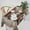Bear-2, variant on Cow Skin Print Tablecloth, Western Style Cowhide Print Rustic Cottage Country Farm Animal Fur Skin Table Cover, Water Resistant Wipeable Tablecloths for Kitchen Dinning Room 60"