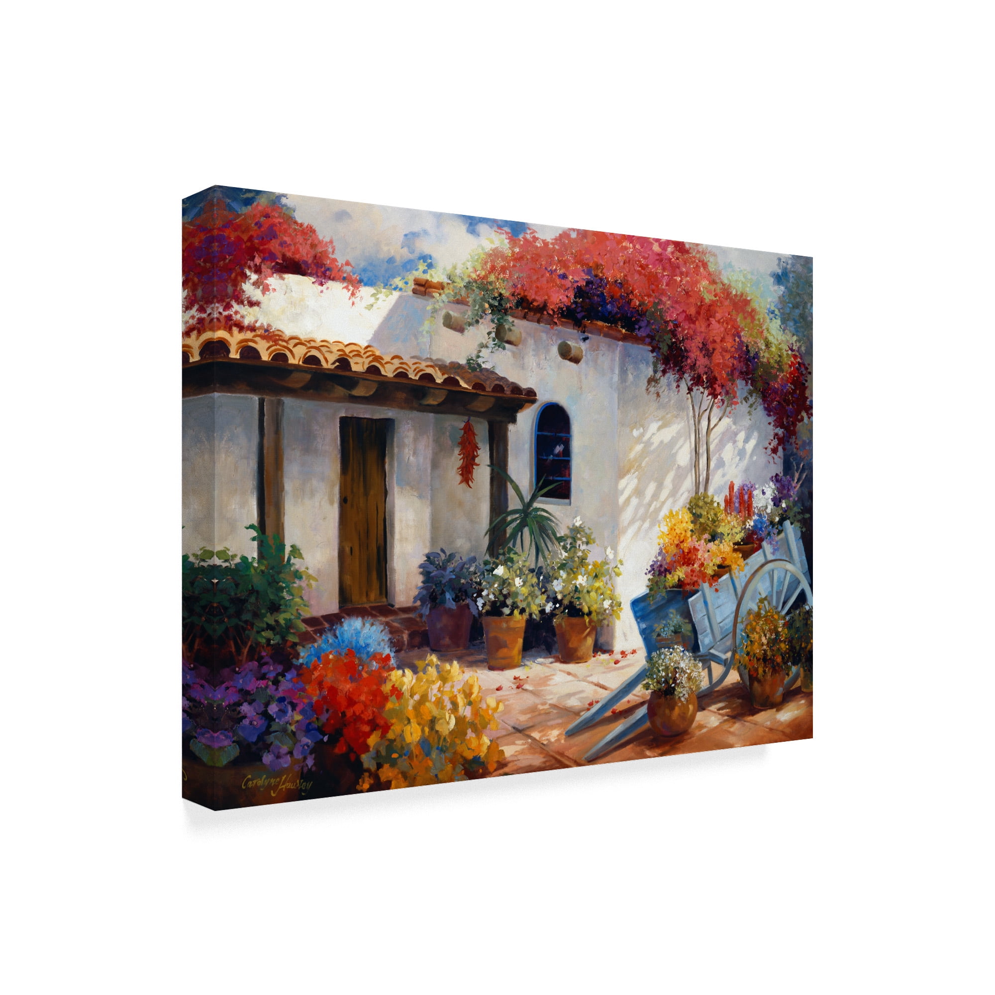 Trademark Fine Art 'Casa Paloma' Canvas Art by Carolyne Hawley