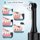 thumbnail image 2 of Tooth Polisher, Rechargeable Teeth Polisher with 5 Brush Heads, 4 Speed Modes, 2 of 4