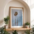 thumbnail image 4 of Twin Palms - Ventura California Photography Palm Tree Tropical Minimalist Nature Coastal Summer Beach Oak Framed Wall Art Print 5 x 7 inches, 4 of 59