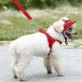 thumbnail image 3 of Summer Pet Dog Polk Dot Bow Breathable Nesh Princess Sun Hat Puppy Adjustable Outdoor Cap, 3 of 7