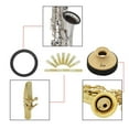 thumbnail image 3 of Alto Accessory Practice Reeds+ for Beginners Gift, 3 of 10