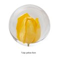 thumbnail image 3 of maskred Resin Crystal Ball Timeless Addition To Collection Crystal Ball With Flower Tulips 8cm 1Set, 3 of 6
