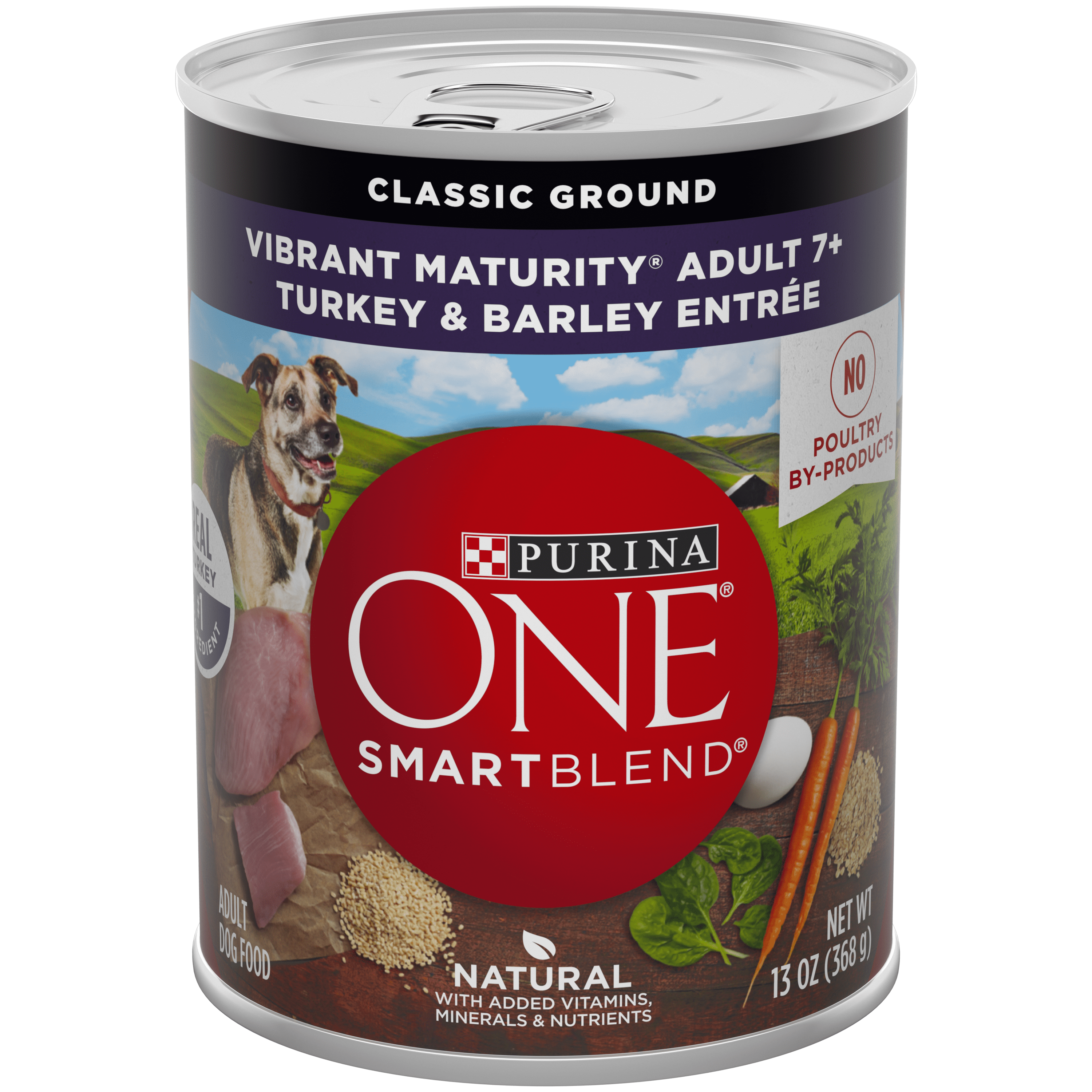 Purina ONE Natural Senior Pate Wet Dog Food; SmartBlend Vibrant
