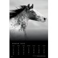thumbnail image 3 of Calendario: Horse, The Noble, The Browntrout Portrait Series 2026 Square Flap, 3 of 3