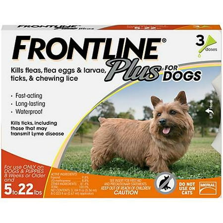 FRONTLINE Plus for Small Dogs (5-22 pounds) Flea and Tick Treatment, 3 (Frontline Large Dog Best Price)