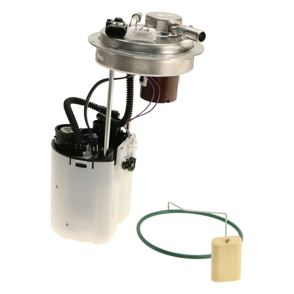 Delphi Lifetime Warranty Fuel Pump Assembly FG0435