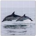 thumbnail image 1 of Picture-Tiles.com: Dolphin Ceramic Tile Wall Mural WAL500527-66XL. 72"W x 72"H using (36) 12" x 12" Ceramic Tiles-Satin Finish, 1 of 3