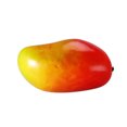 thumbnail image 1 of Fruit Photo Props Education Display Props Creative Gift Plastic Artificial Home Wedding Showcase Decorations (Red and Yellow Mango), 1 of 7