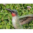 thumbnail image 4 of Colibri Chantant Activé par le Mouvement sur FOXGLOVE, 4 of 4