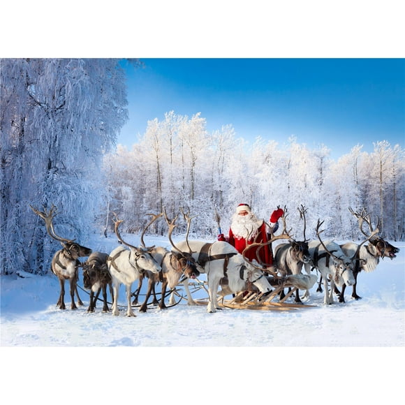 EREHome Polyester Fabric 5x7ft Winter Backdrops for Photography Frozen Snow Backgrounds Railway Backdrop for Wedding Photo Shooting
