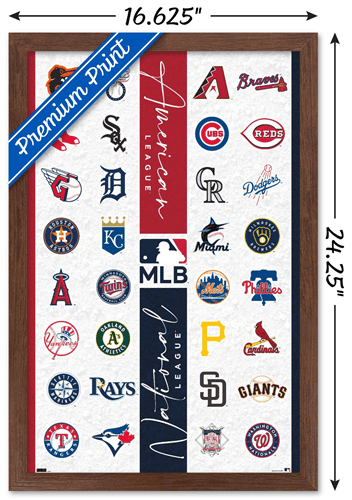 MLB22222 - FRENCH