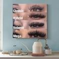 thumbnail image 2 of Eyelashes Wall Decor Eyelash Expansion Extension Type Canvas Painting Art Poster Canvas Painting Wall Art Poster for Bedroom Living Room Decor, 2 of 4