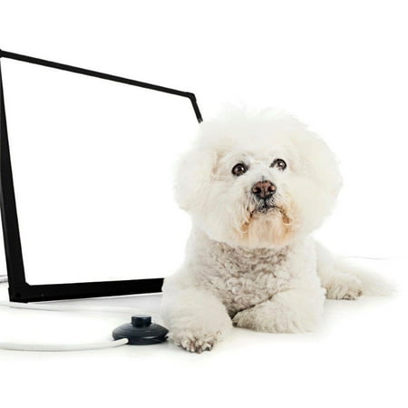 BuddyLux Group Light Therapy