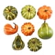 thumbnail image 2 of Xihbxyly Mini Calabazas Artificiales Decorativas Realistas, Colores Vibrantes de Otoño, Decoración para El Jardín, Fiesta de Acción de Gracias y Halloween, Juego de 8 Piezas, 12 X 8 Cm, 2 of 7